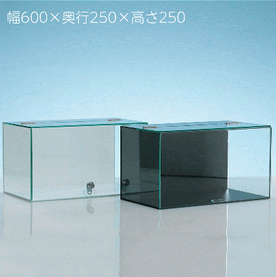 【No.622】アクリル ウイング式コレクションケース