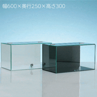 【No.623】アクリル ウイング式コレクションケース